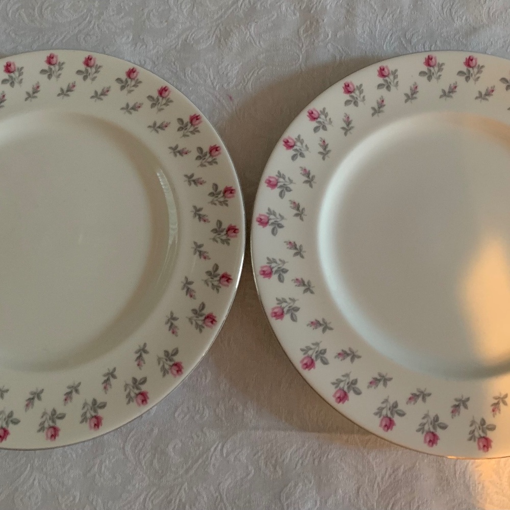 Two Royal Albert WINSOME Dinner Plates